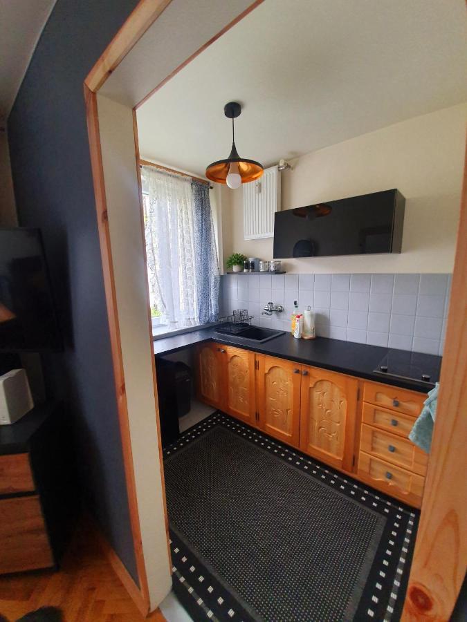 Apartament Izba W Centrum Zakopane Kültér fotó