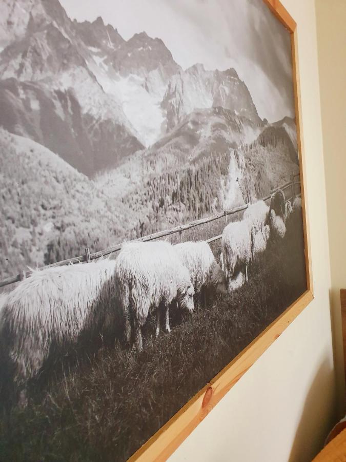 Apartament Izba W Centrum Zakopane Kültér fotó