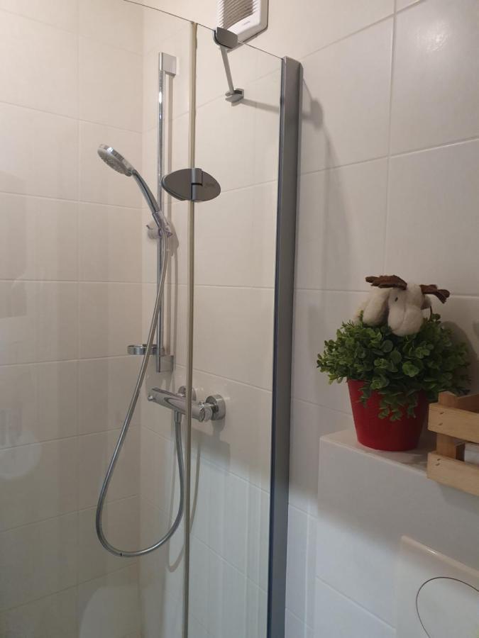 Apartament Izba W Centrum Zakopane Kültér fotó