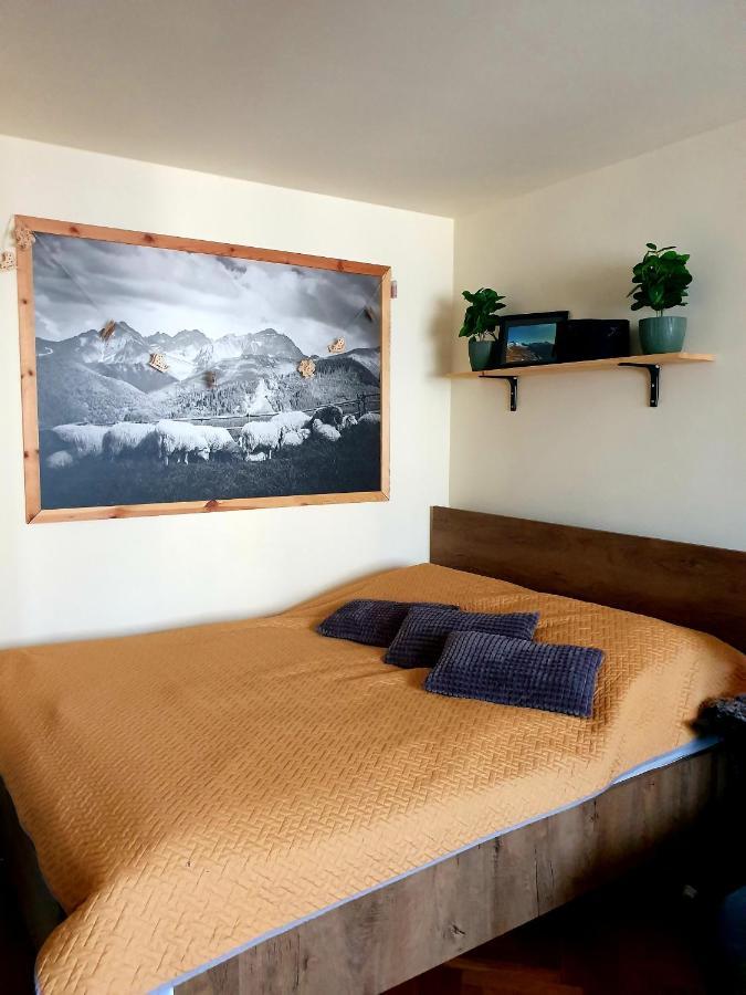 Apartament Izba W Centrum Zakopane Kültér fotó